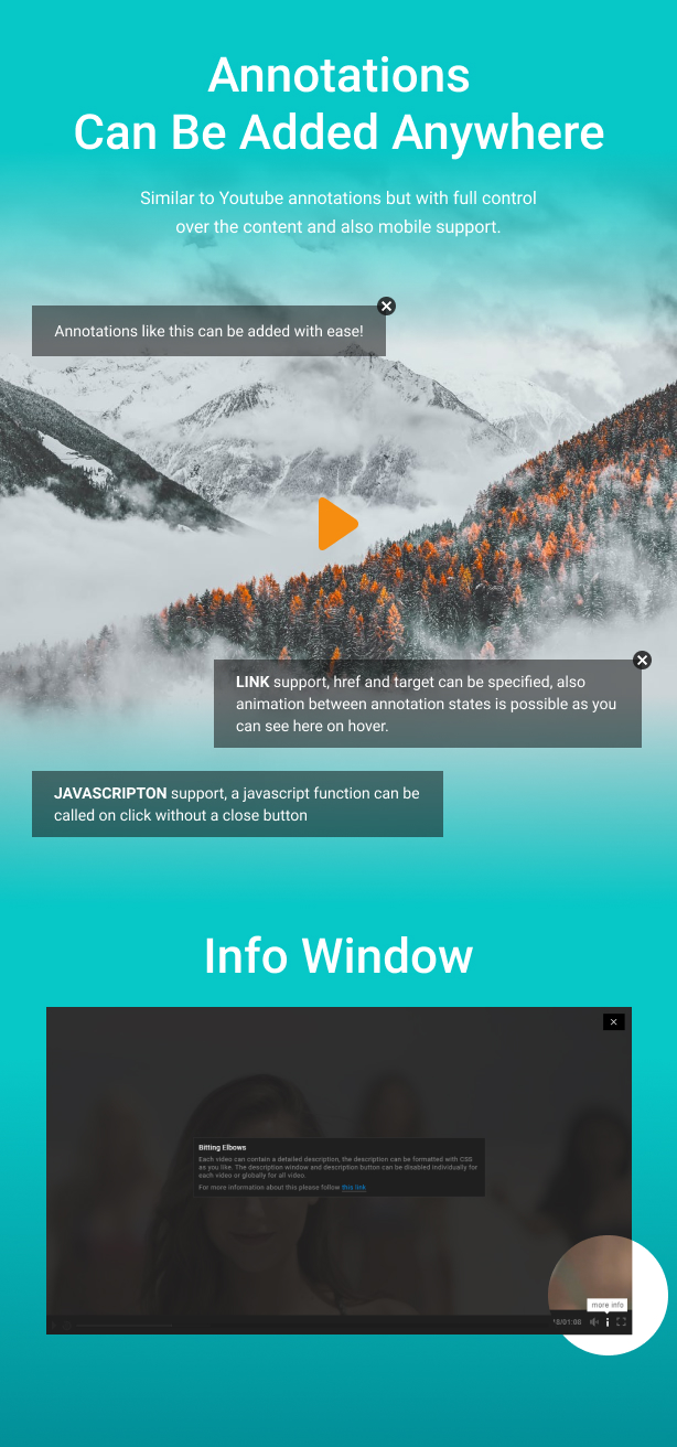 Ultimate Video Player WordPress Plugin - 20